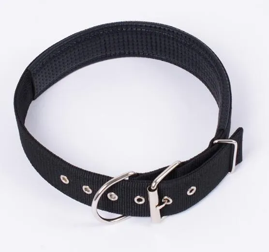 40 pièces marque mise à jour en Nylon Double épaississement collier de chien de compagnie boucle carrée chien chiot chat Collars7540136