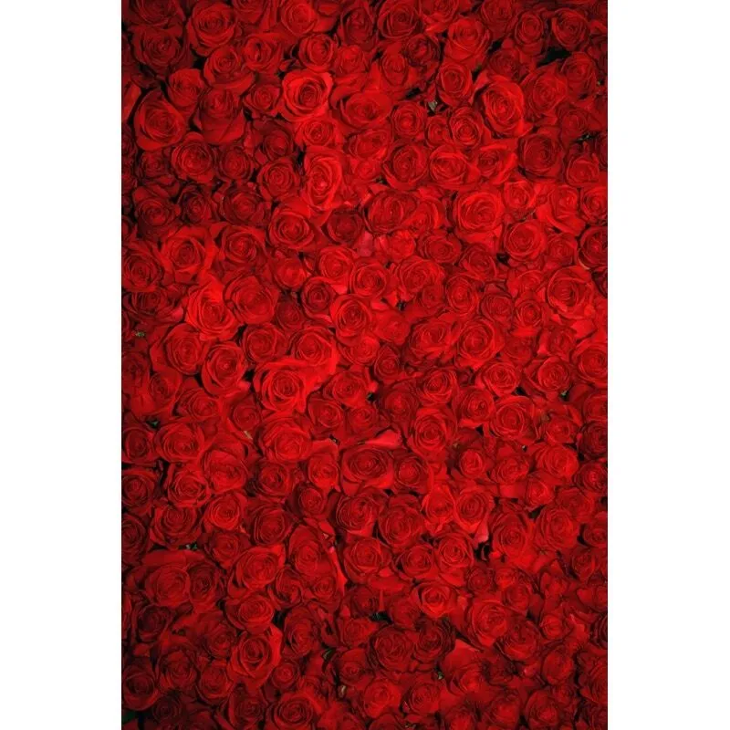 8x10ft Rosas Vermelhas Foto Fundos Românticos Parede Da Flor Pano de Fundo Estúdio de Casamento Imagem Tiro de Parede de Papel De Parede Dos Namorados Backdrops