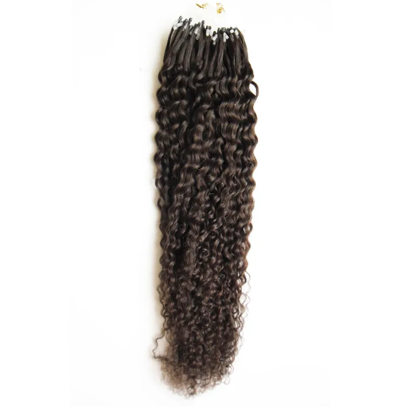 Virgin Curly Chinese Haar Micro Loop Hair Extensions 1G Krullend 100g Kinky Krullend Micro Loop Menselijke Hair Extensions