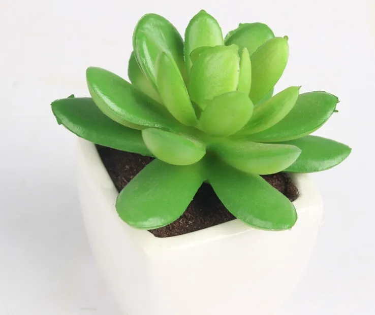 Artificial lovely small potted succulents Decoration modern minimalist home office desktop decorative bonsai