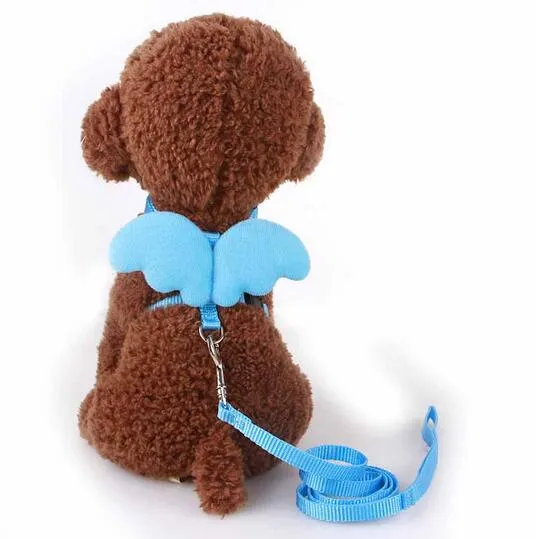 Mignon ange laisses et colliers pour chiens de compagnie ensemble laisses pour chiots pour petits chiens chats concepteur aile réglable harnais pour chien accessoires pour animaux de compagnie HJ231Q