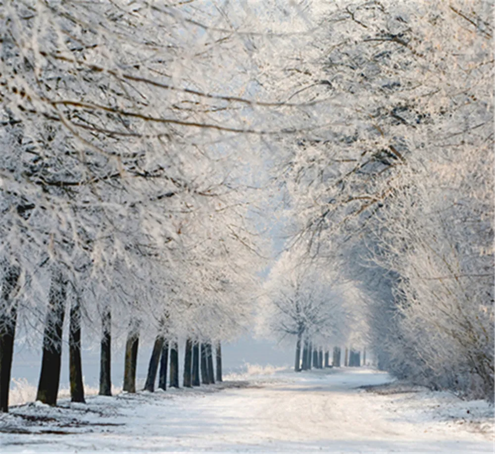 Country Road Winter Fabric Bakgrund Fotografi Vacker Vit Snötäckta Träd Scenic Photo Studio Props Backdrops 10x10ft