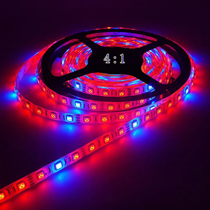 5m 5050 LED grow light Strip led Plant grown light 12V Red Blue Waterproof light for Greenhouse Hydroponic plant growing lamp