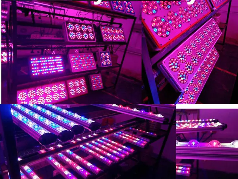 Full Spectrum LED Grow Lights Full Spectrum Apollo4 6 200W 300W 400W 600W LED Grow Lights för växter Inomhusblommande och växande