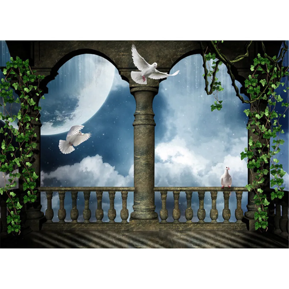 Vintage château pavillon mariage photographie décors vignes vertes pigeons blancs pleine lune étoiles nuit ciel photo toile de fond Studio fond