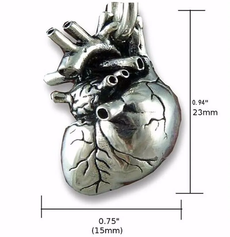 Paslanmaz Çelik Gümüş Cilalı Tiny Basit 3D Anatomik Kalp Kolye Kadınlar için Maxi Uzun Zincir Kolye Takı NL25846