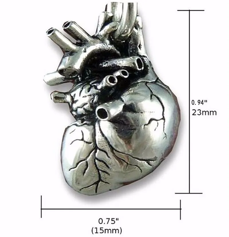 Tiny 3D Anatomisch Hart Ketting Roestvrij Staal Zilver Gepolijst Maxi Lange Ketting Kettingen Sieraden voor Vrouwen NL25846