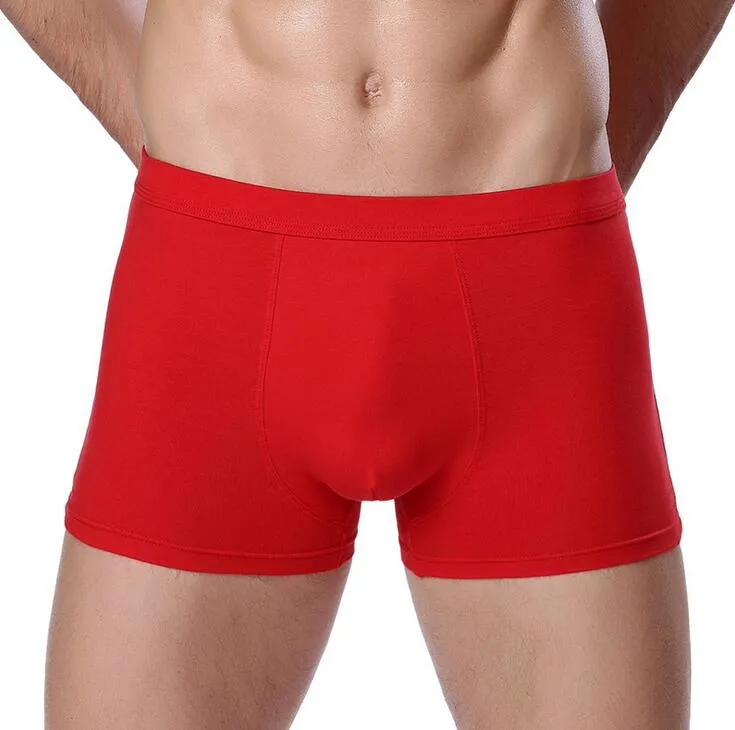 Nouveaux sous-vêtements pour hommes sous-vêtements cotons sous-vêtements pour hommes en coton à la taille pantalons plats confortables MU008 pour hommes Underpant