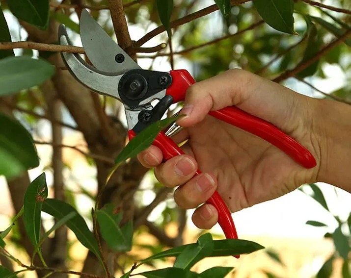 by dhl or ems 50pcs practical and Ergonomic Flower Cutter Grafting Tool Scissors Pruning Shears Garden Trimmer Cutter