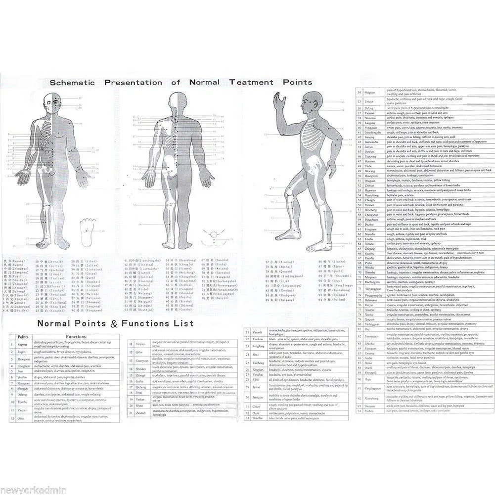 Digital Electronic Pulse Brookstone Massager With 16 Modes For Full