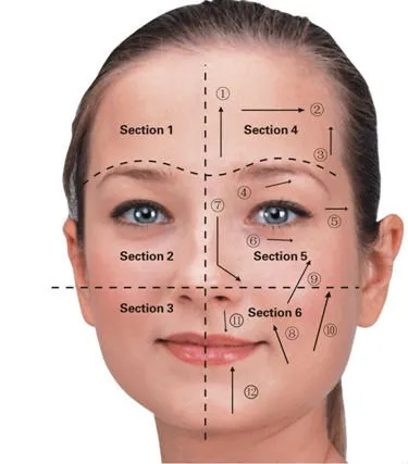 6 I 1 Multifunktionell syre ansiktsmaskin Syre Jet Facial Mask Bio Skin föryngring Vakuumterapimaskin
