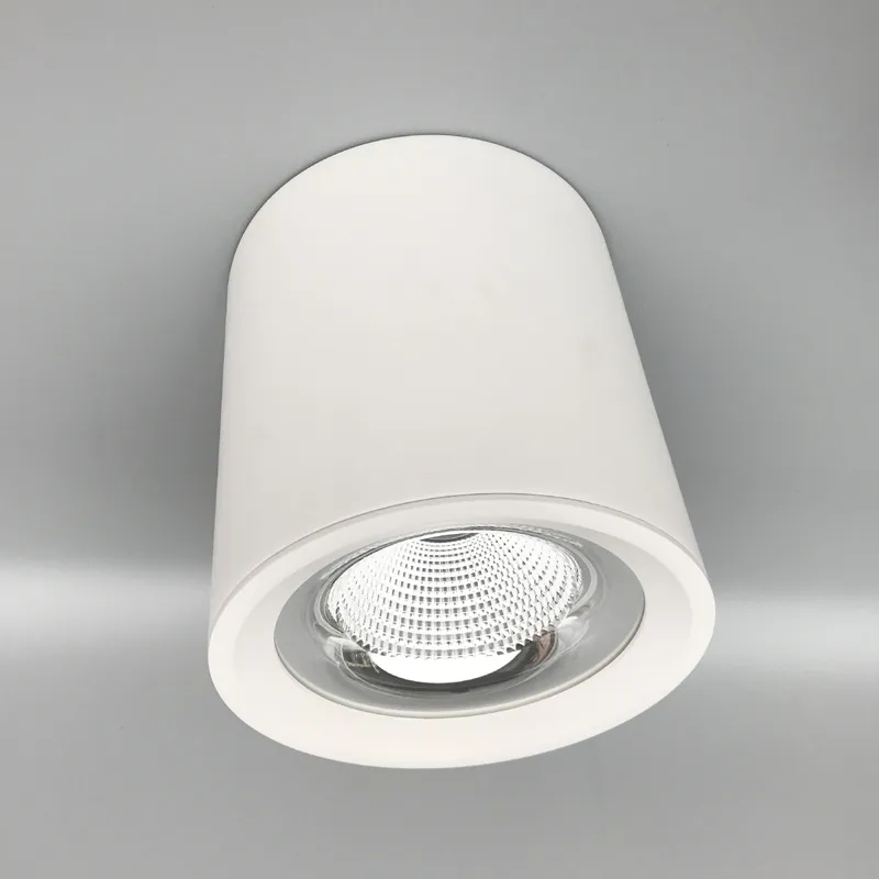 LED اسطوانة أسفل السقف COB خفيفة معلقة قلادة الأضواء سطح الخيالة الصمام مصباح الإضاءة للمنزل 20W 30W