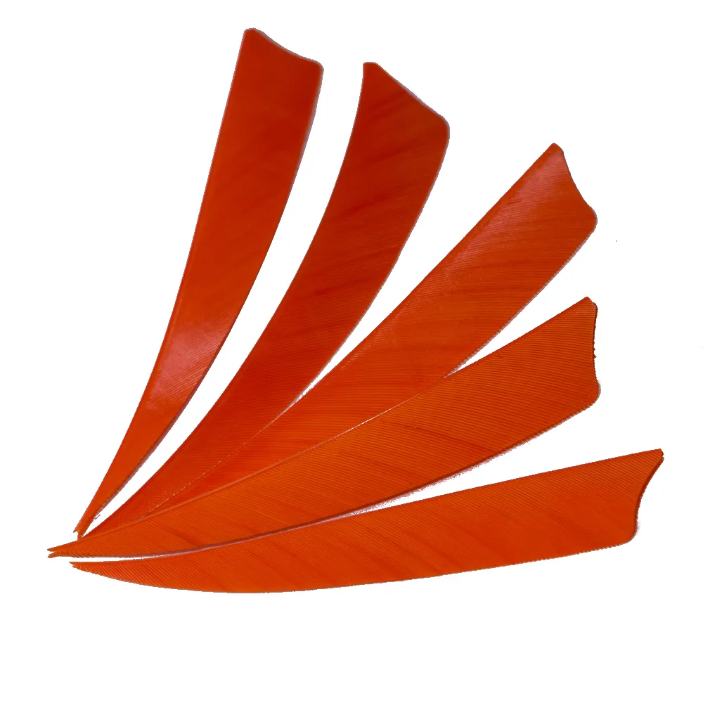 30 pezzi 4 '' piume dell'ala destra fibra di vetro legno di bambù frecce tiro con l'arco caccia e tiro scudo arancione impennaggio