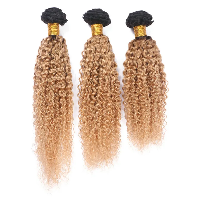 Kinky Curly 1B / 27 Honey Blonde Ombre Malezyjski Ludzki Włosy Wefts Extensions 10-30 