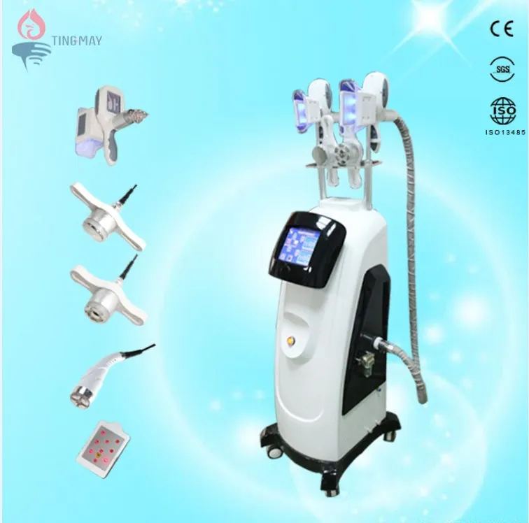 베스트셀러 제품! cryolipolysis 멋진 테크 지방 냉동 기계 슬리밍 가격 / Cryo Cavitation RF 기계