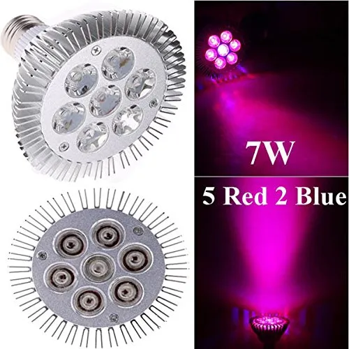 Inomhus LED Grow Lights 7W 12W 24W 36W 54W E27 LAMP PAR 38 30 LULB FÖR BLOMMANDE Växthydroponik