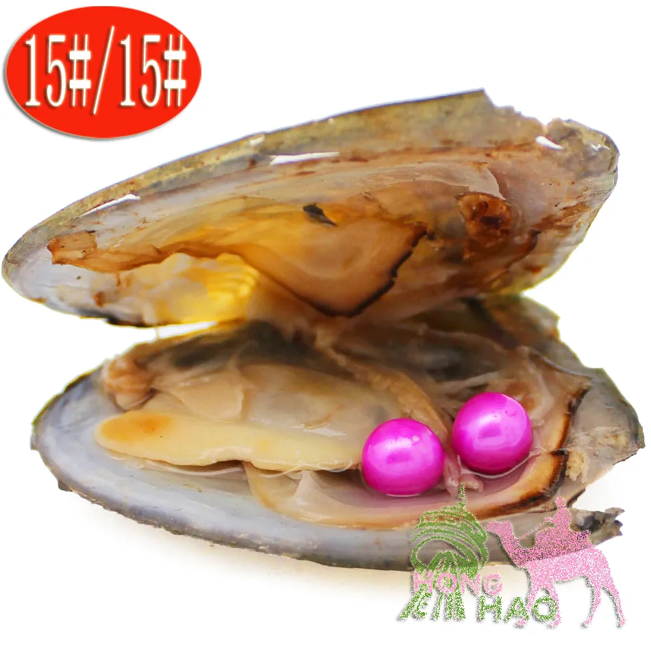Gefärbte Perlen, Akoya-Austern, Perlen, 6–7 mm AAAA-Rundzwillinge, 28 farbige Süßwasserperlen, vakuumverpackt, handgefertigter Schmuck