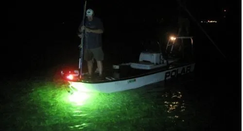 8W Pesca Atraindo equipamentos LED Green subaquática Lula Squid Submersible Boat Night Night Fishing Tackle