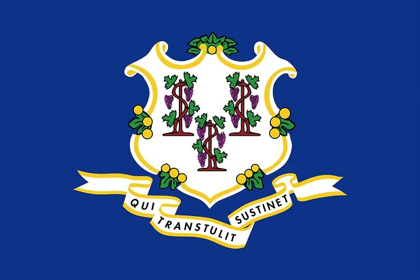 Nouvellement 0,9 x 1,5 m États-Unis Connecticut State Flag USA Polyester Drapeau Bannière avec 2 œillets en nickel