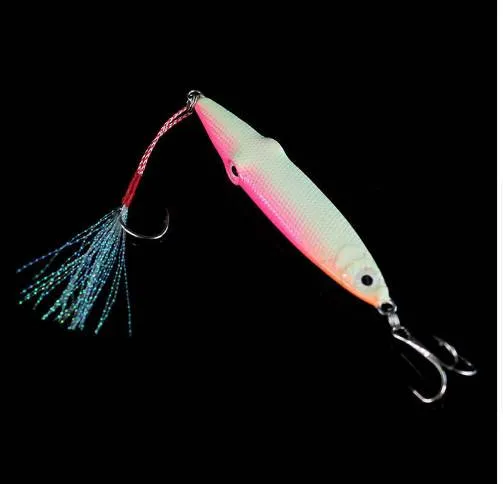 2 sztuk / paczka 40g 60g 80g 100g Luminous Jig Bait Kurdów Kształt Świecące Pesca Lead Ryby Sea Lead Bait Hard Metal Lure Żelazka Squid Jig