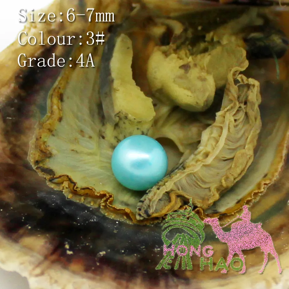 Bulk Freshwater Natural Pearl Oyster 6-8mm AAA Grade #Oval Pearl & Oyster Vacuum Package You can customize pearl color