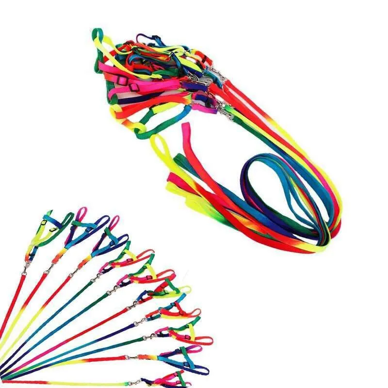 Guinzaglio per imbracatura per collare per cani Rainbow Pet 120cm Imbracatura per escursionismo morbida Piombo Corda in nylon per trazione colorata e resistente GGA832