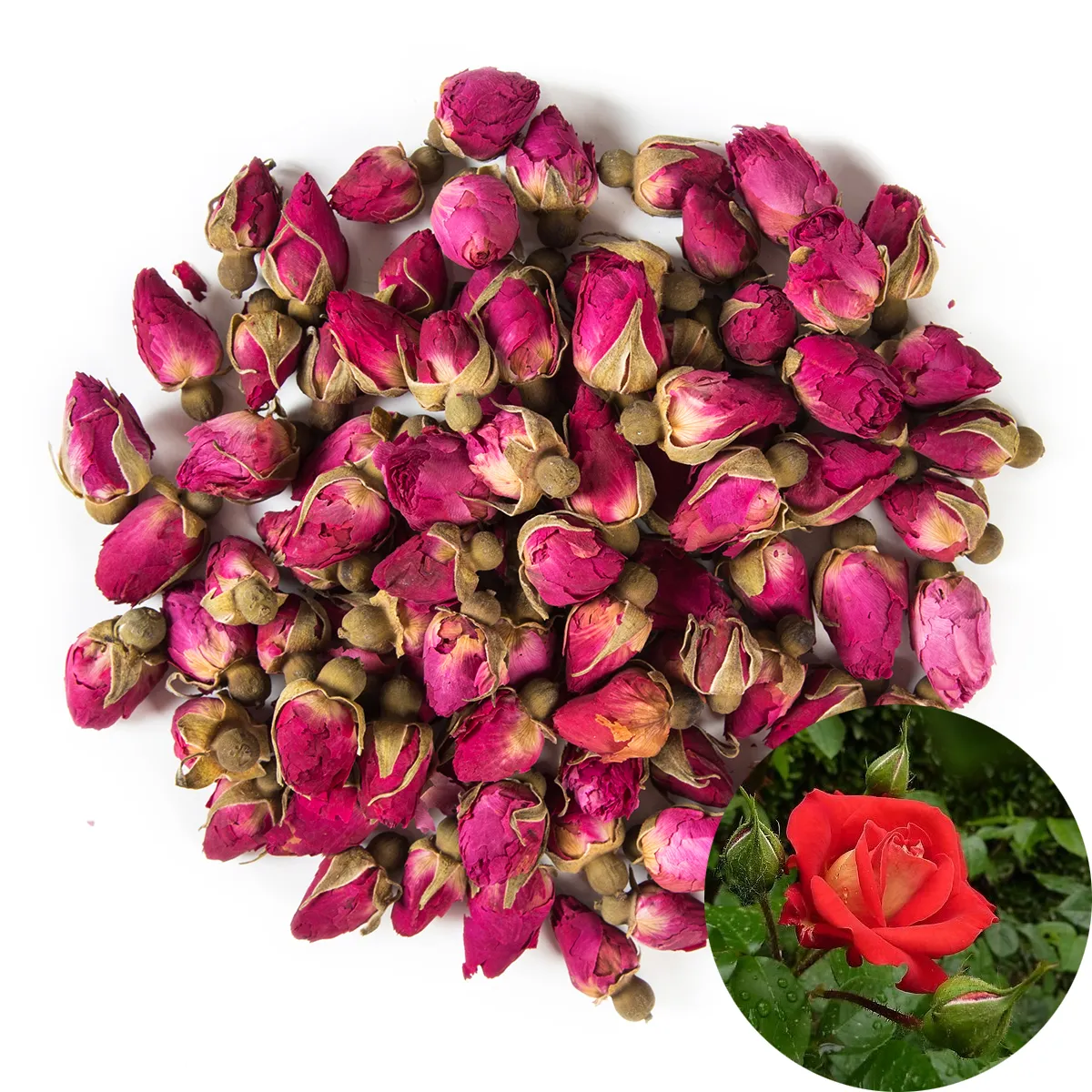 Germogli di rosa rossa naturale profumata Petali di rosa Fiori secchi organici all'ingrosso, commestibile culinario