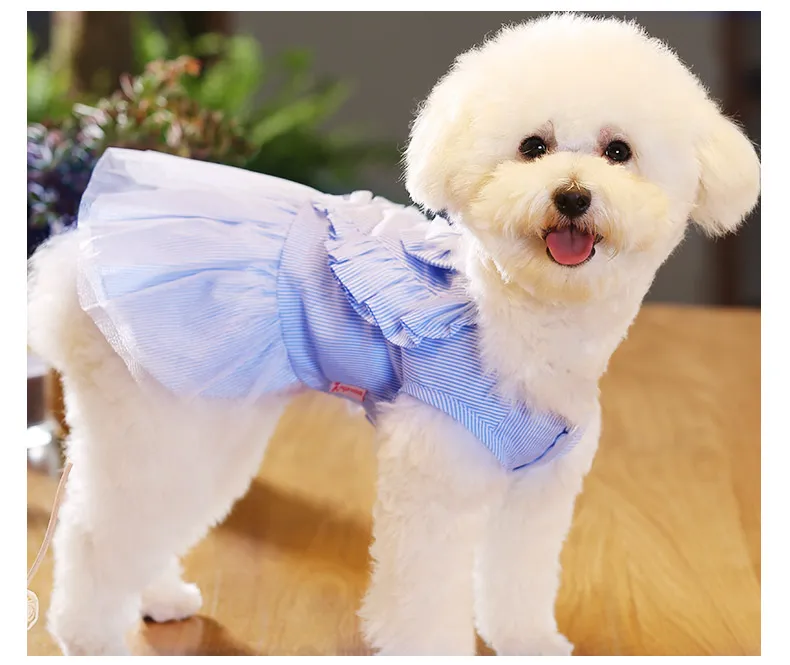 Huisdier voor honden kleding kostuum rok kleine roze blauwe jurken met zomer