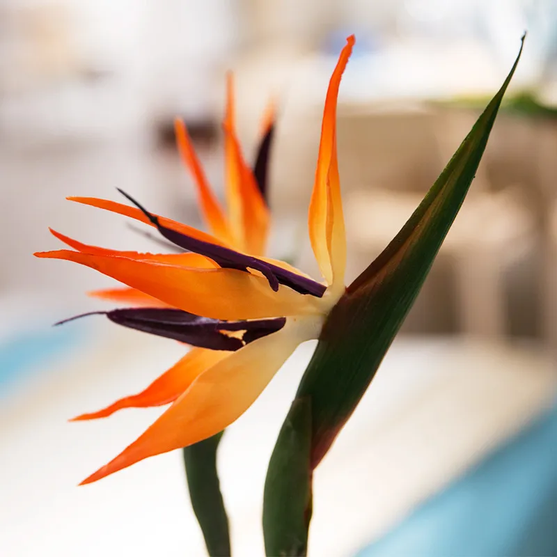 Flores artificiais paraíso strelitzia de alta qualidade decorações de casa de flor falsa para festa de casamento hotel decoração do escritório 80cm