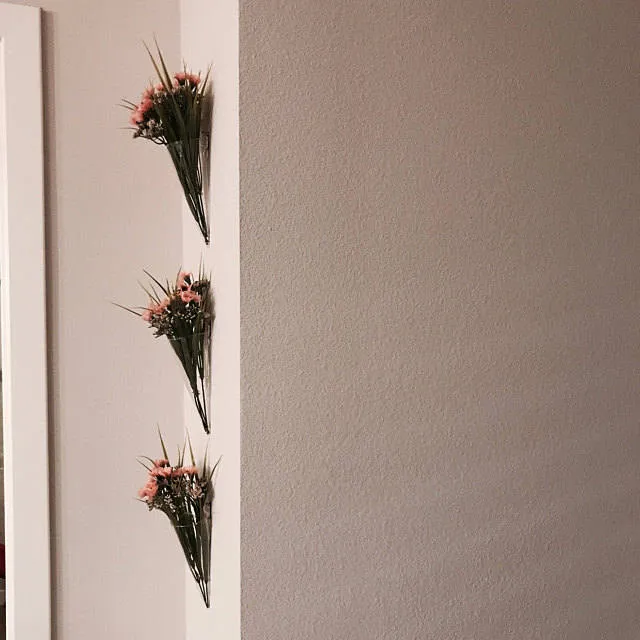 Koni Şekli Cam Su Ekici Saksı Paketi 3 Kapalı Duvar Asılı Cam Duvara Koni Şekli Cam Su Ekici Saksı Paketi 3 Kapalı Duvar Asılı Cam Duvara