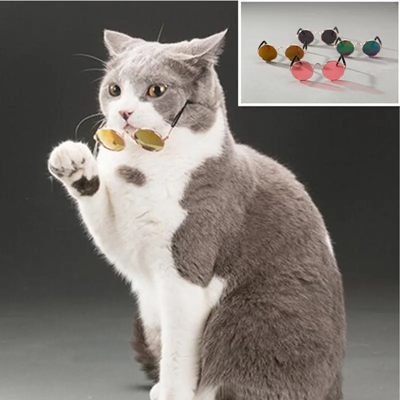 ファッションメガネスモールペットドッグ猫メガネサングラス目の保護ペットクールグラスペットPOSプロップ猫サングラスプロモーション2396