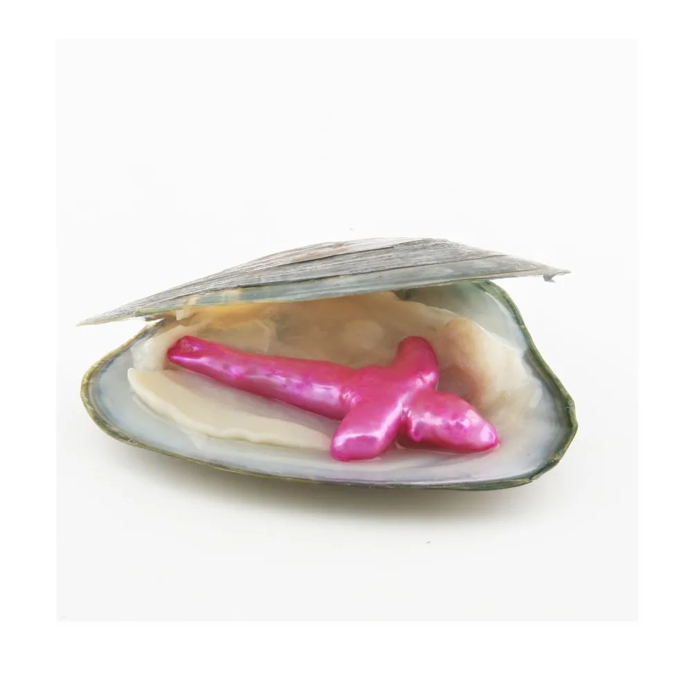 Großhandel DIY Liebe Wunsch Perle Auster Süßwasser Querform Perle Luxus Schmuck mit Perlen in Vakuumverpackt