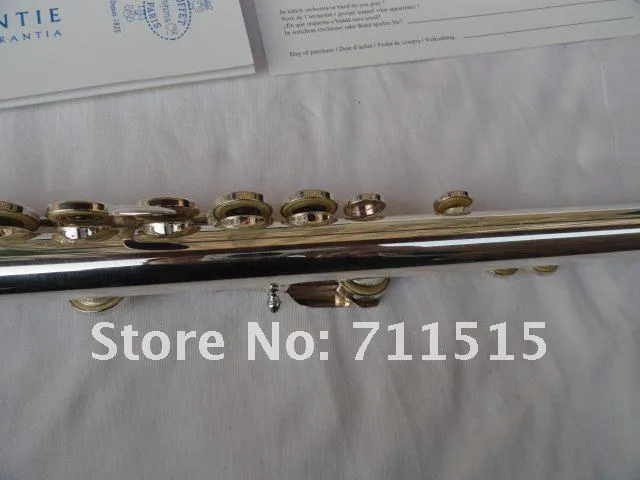 Strumento musicale di marca BUFFET BC6010 Flauto professionale 16 fori chiusi Flauto tono C Corpo in cupronichel di alta qualità placcato argento con custodia