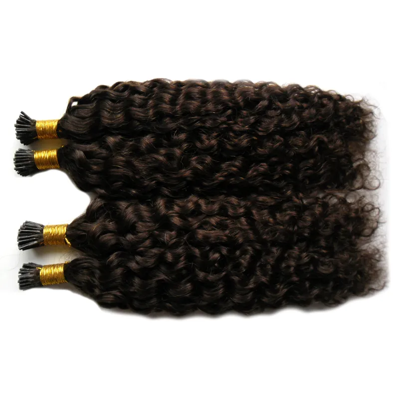 Moğol Kinky Kıvırcık Saç Ben Bahşiş Saç Uzatma 200gstrands Afro Kinky Kıvırcık Önceden Bağlı İnsan Saç Uzantıları 2 Koyu Kahverengi Brown6546630