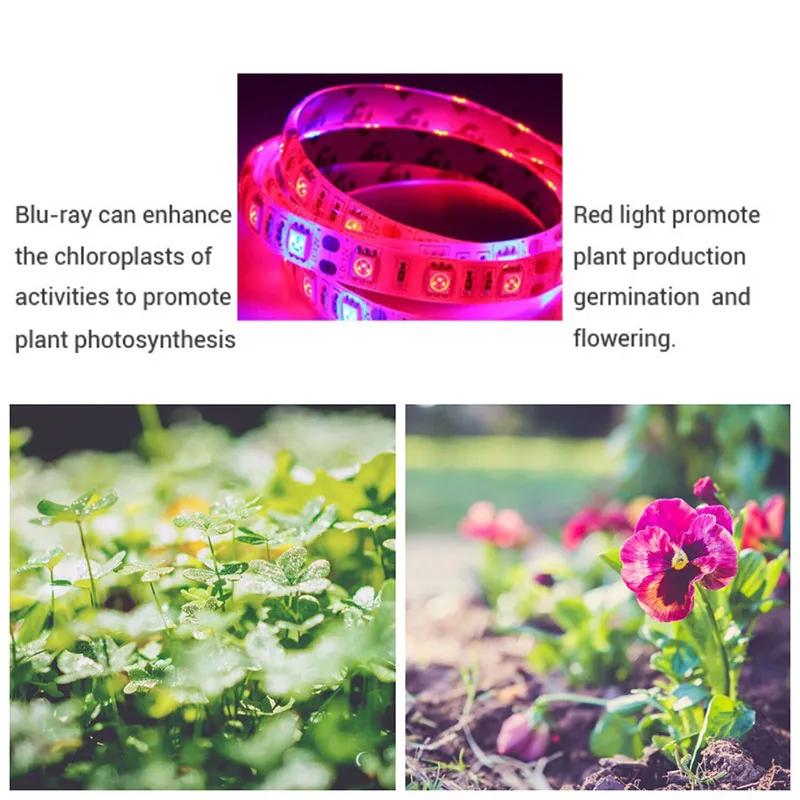 Full Spectrum LED Plant Garland Grow Light Garden With Flower Phyto