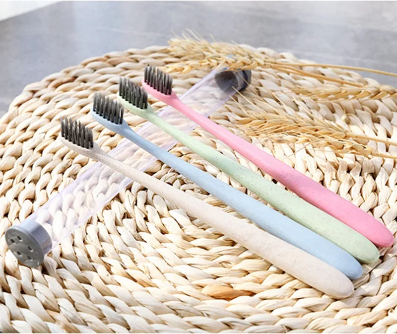 Envriomental Friendly Wheat Stalk Toothbrush Bamboo Charcoal Teethbrush Soft Portable Toothbrush for Adult and Kids Travel Use PVC Tube Pack