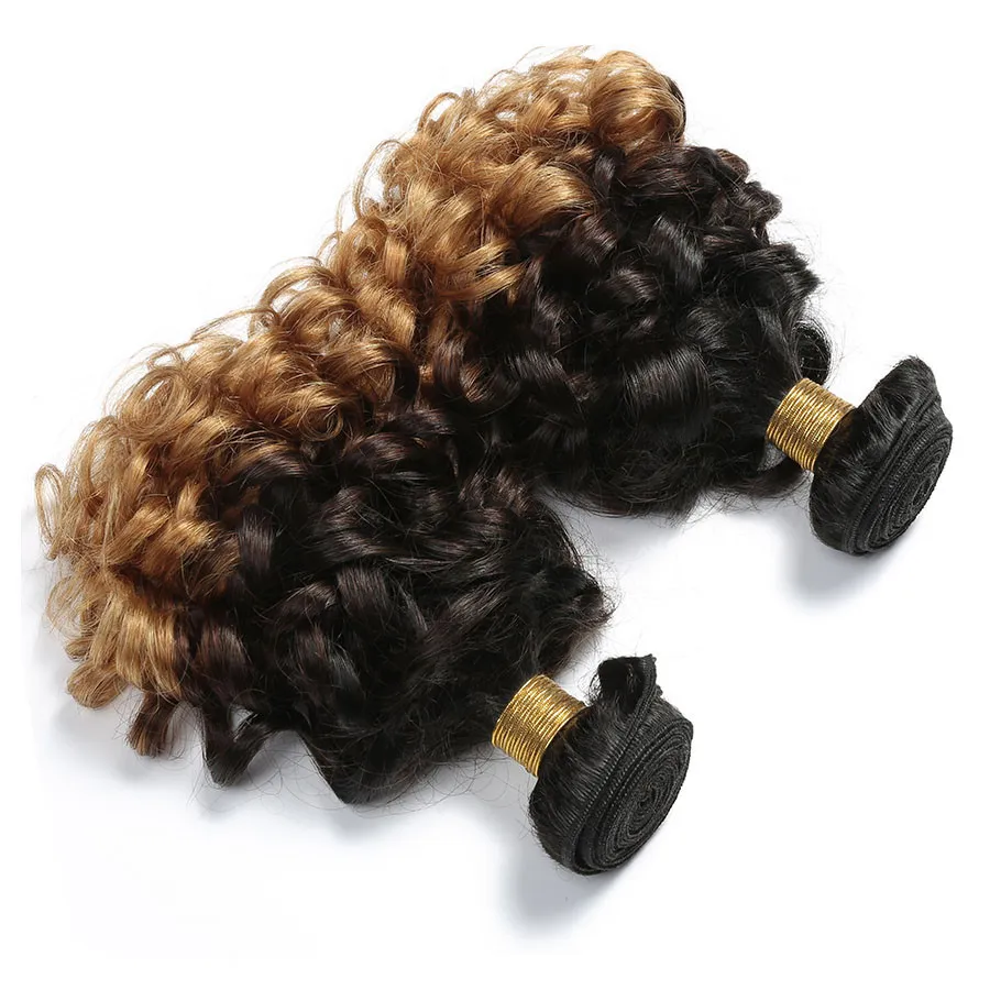 Ombre brasilianska jungfruliga hårbuntar Spanish Bouncy Curly Three Tone Remy Human Hair Weaves T1B 4 27 lot 1030 Inch Funmi Hair7987599