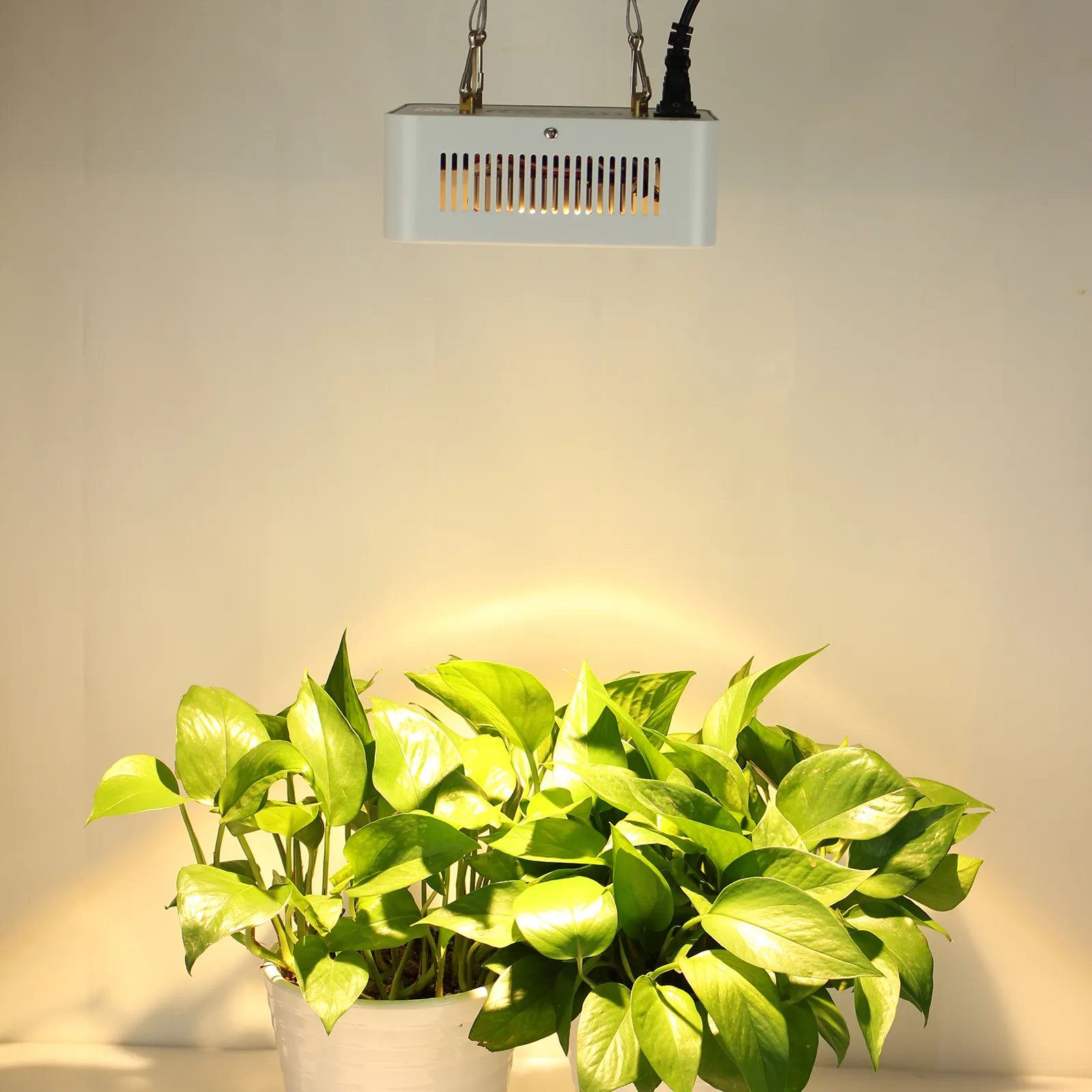 Nieuwe Collectie Originele CREE COB CXB3590 100W LED Grow Light Warm White 3500K met reflector 12000LM Vervang 250W HPS