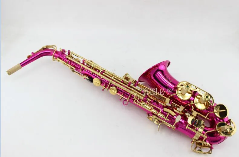 Margewate Professional Western Musical Instruments Saxofon EB Tune Alto Red Tube Gold Key e Flat Sax med munstycke