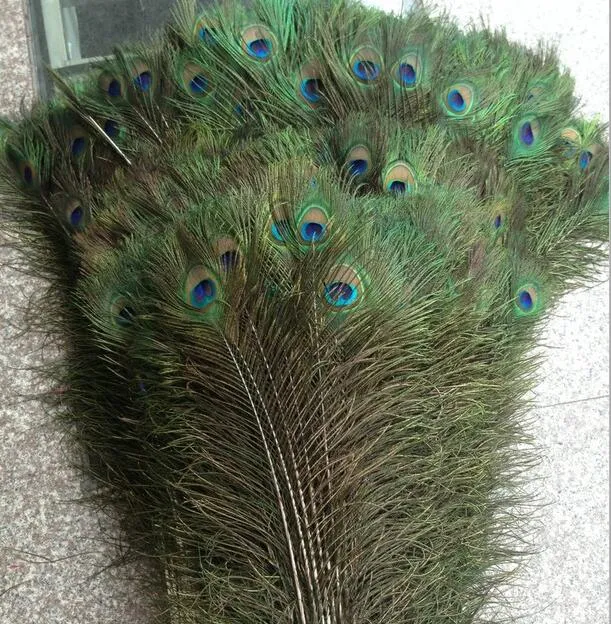 200 個の羽孔雀の尾 10 "-12" 尾羽ファン結婚式のパーティーのパーティーの装飾