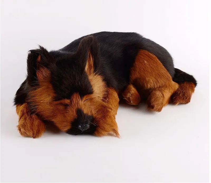 Surakey Peluche Chien Doux Et Réaliste Animaux Peluche Jouets Migno Poupee De Chien Caniche Enfants Interactif Jouets En Pel Am
