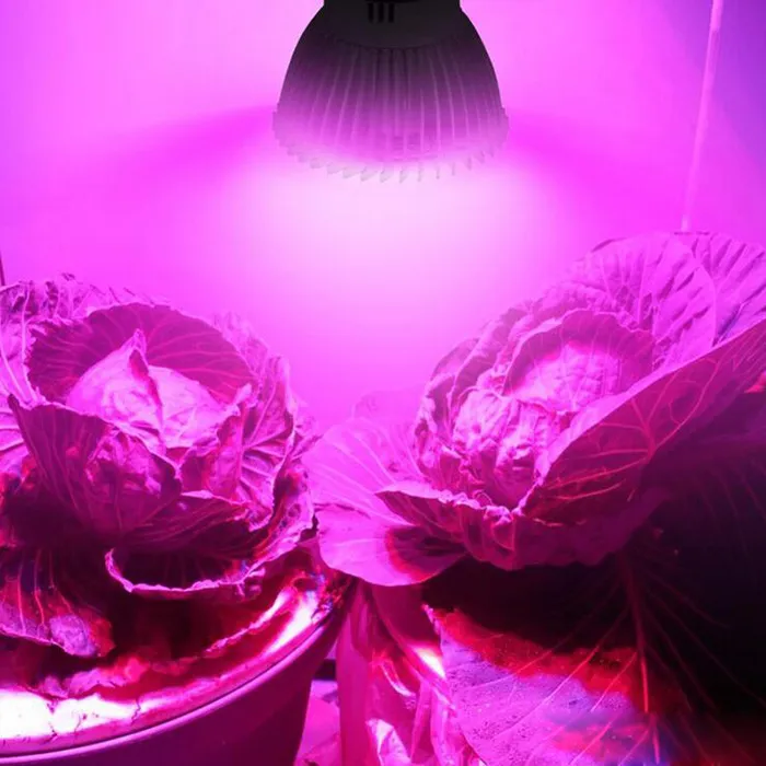 Nowy 28 W E27 GU10 E14 LED Rosną żarówki 28 LEDS SMD 5730 LED Grow Light Hydroponic Roślin Pełna lampa Spectrum AC 85-265V