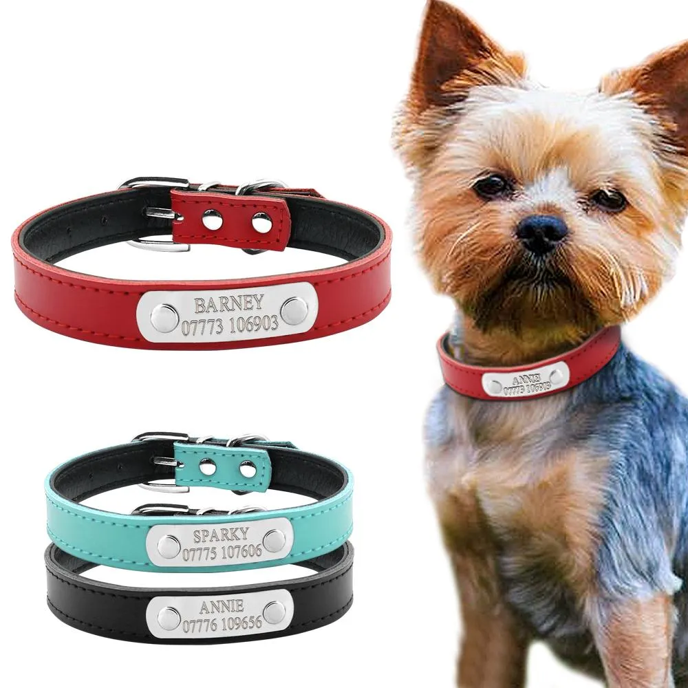 COLLARES PERSONALIZADOS DE CUERDO PERSONALES CUSTOM CAT MAKE NOMBRE DE PET COLLAR GRABADO