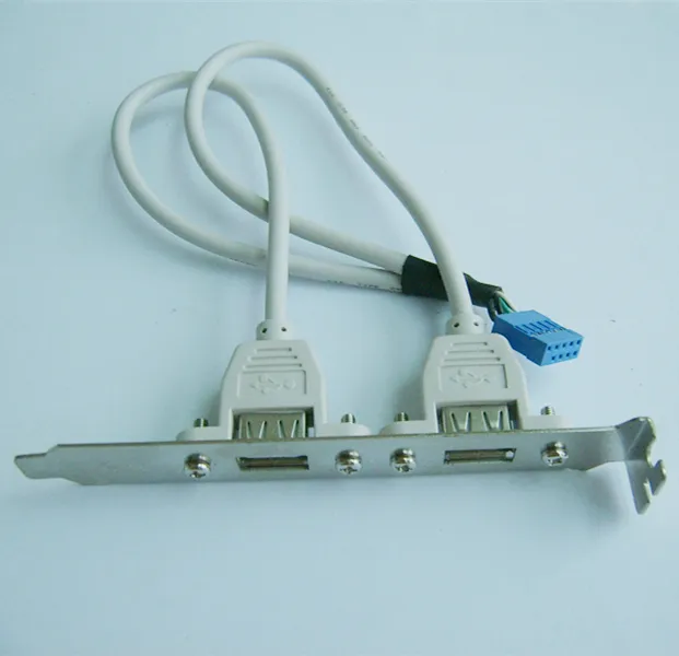 Alta velocidad 30 cm/1FT 2 puerto dual USB A hembra A adaptador de cabezal interno de 9 pines Cable de placa base PCB para placa base de PC 1 pieza
