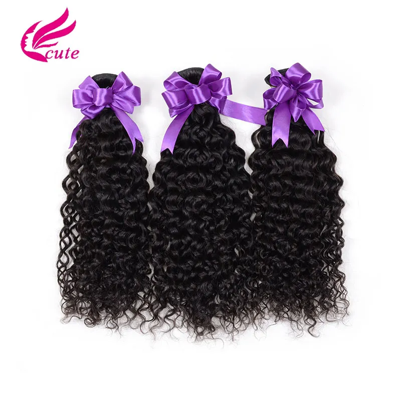 Virgin Human Hair Kinky Curly 3 Wefts Brazilian Peruvian Malaysian Unprocessed Pack of 3 Bundles Remy Hair Weave for Black Women E5985890