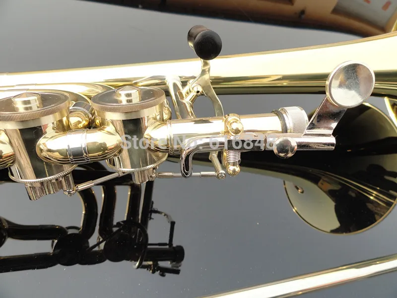 Can Özel Logo Yüksek Kaliteli Pirinç Trombon Altın Lake Çalma Enstrüman Çift Pistonlu Bb Ayarlanabilir Tenor Trombon