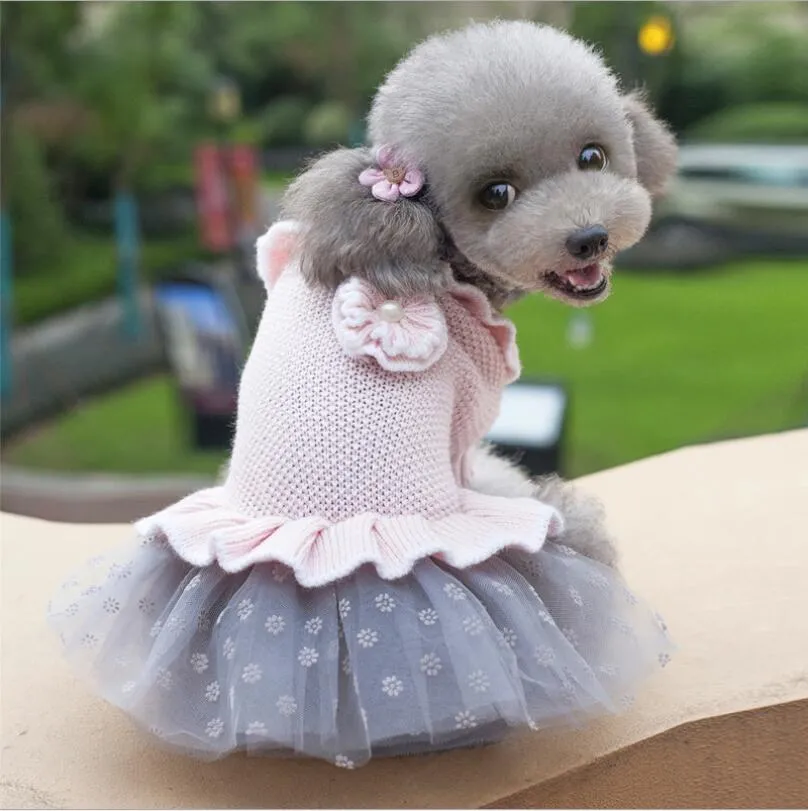 Vêtements de chien automne et robe d'hiver princesse robe animal en peluche petit chien