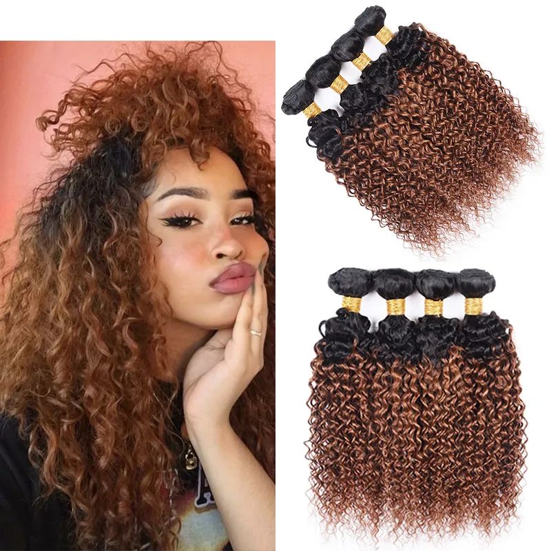 Kinky Curly 1B30 HUND HAIR WEAVE 컬러 Malaysian Brazilian Peruvian Virgin Human Hair Bundles Ombre Auburn 4pcsl5580506