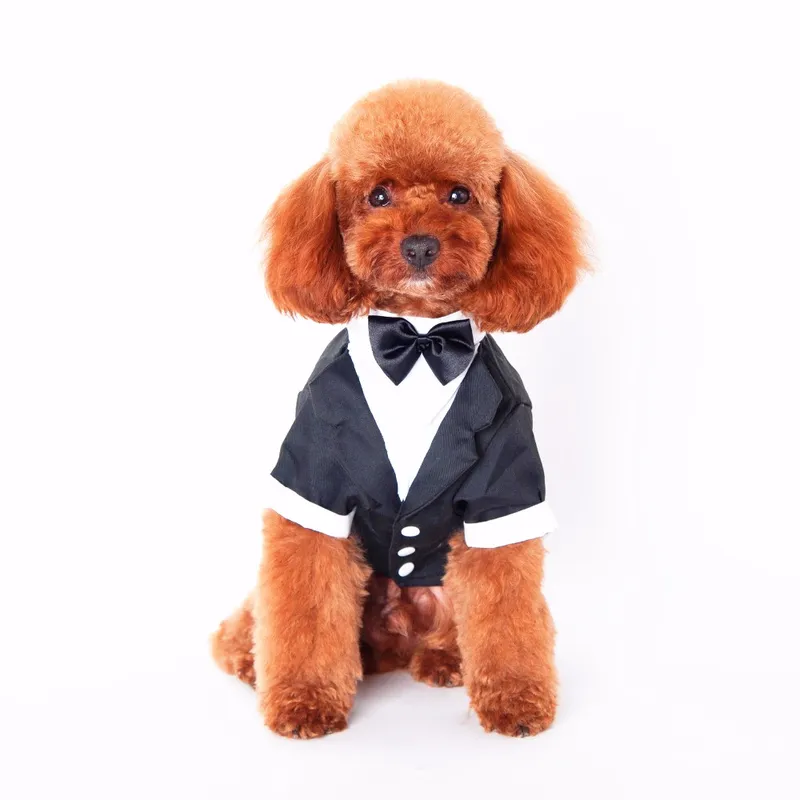 Hundehemd Haustiere Kleider Kleider Gentlemen Brautkleider Teddy Pet Hundekleidung Für Herbst und Winter Hund Weste mit Bogenknoten