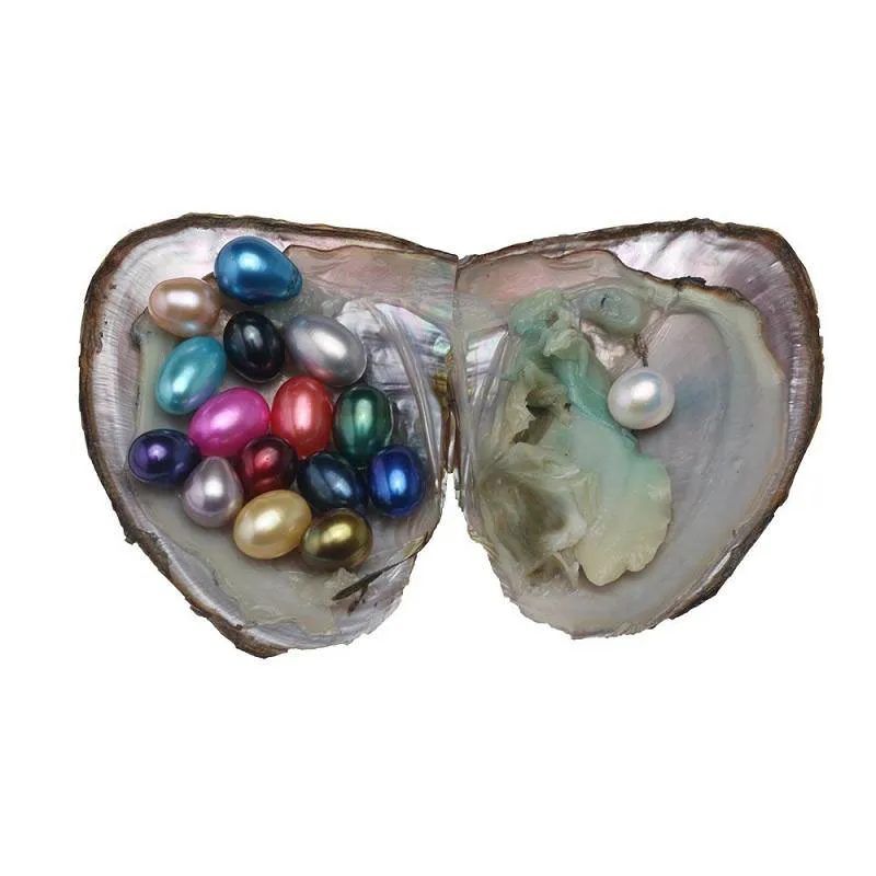 2017 Agua Dulce Oyster Pearl Oval Perla Redonda Natural 7-10 mm DIY Decoraciones de Regalo Envases al Vacío Al Por Mayor Blanco Rosa Purpel Negro